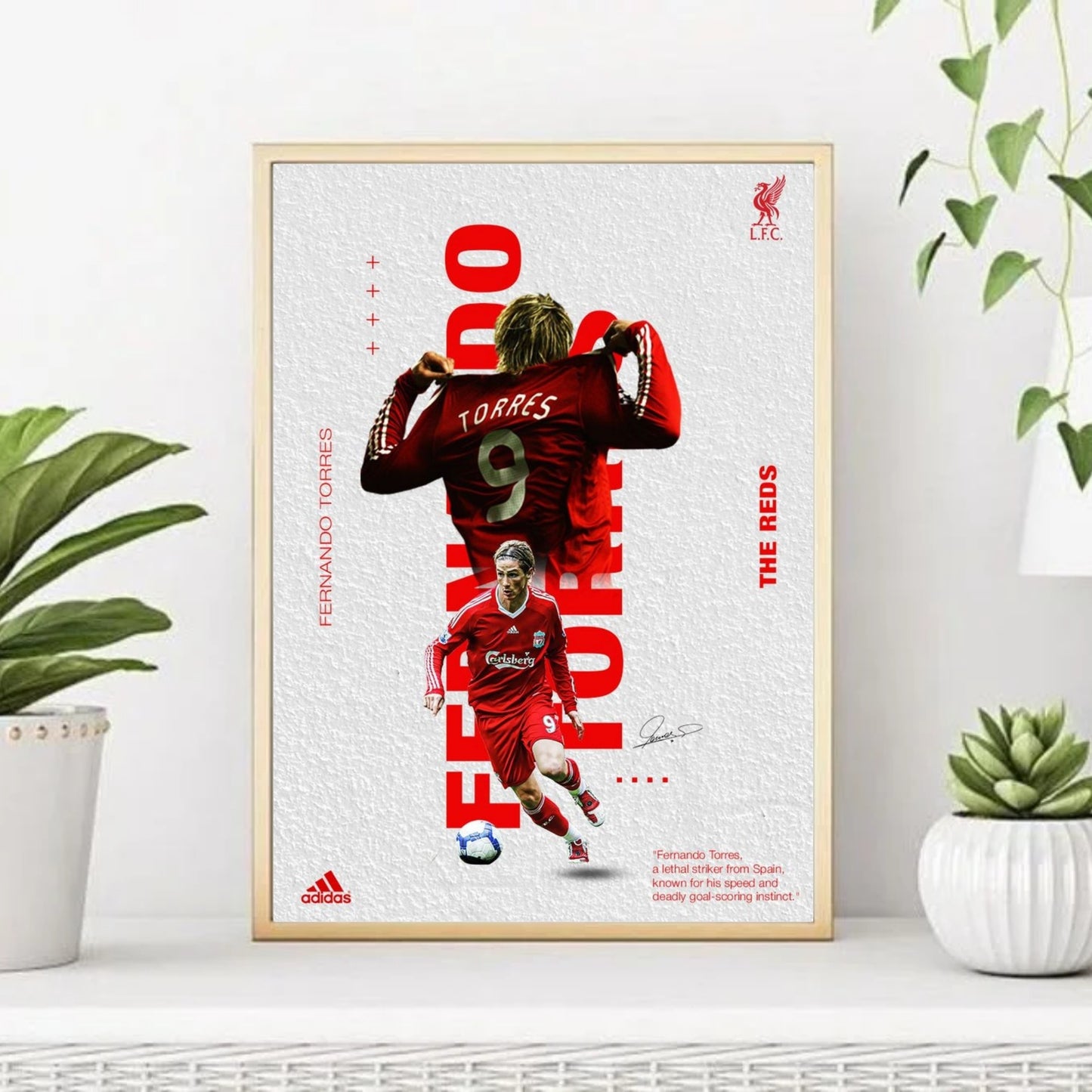 Fernando Torres footballer poster for wall
