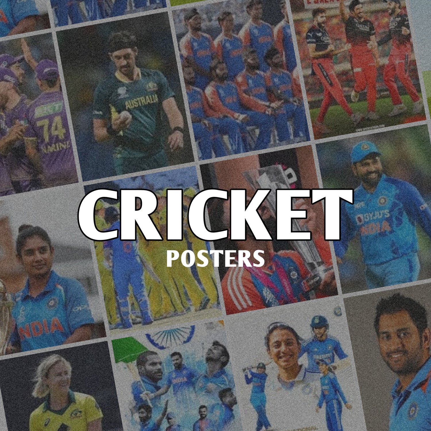 Cricket Collection