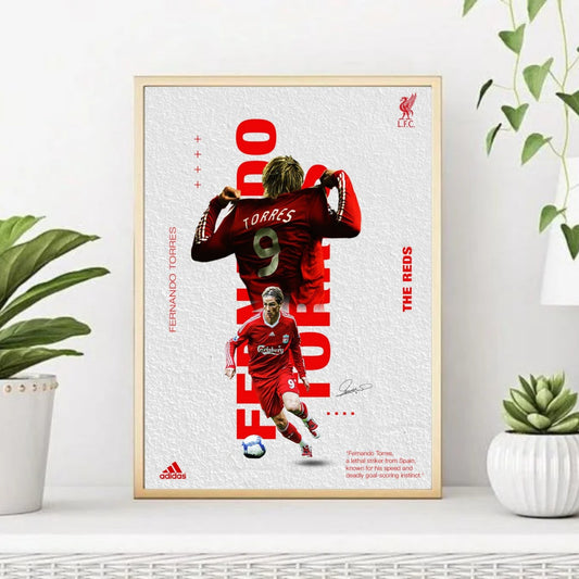 Fernando Torres footballer poster for wall